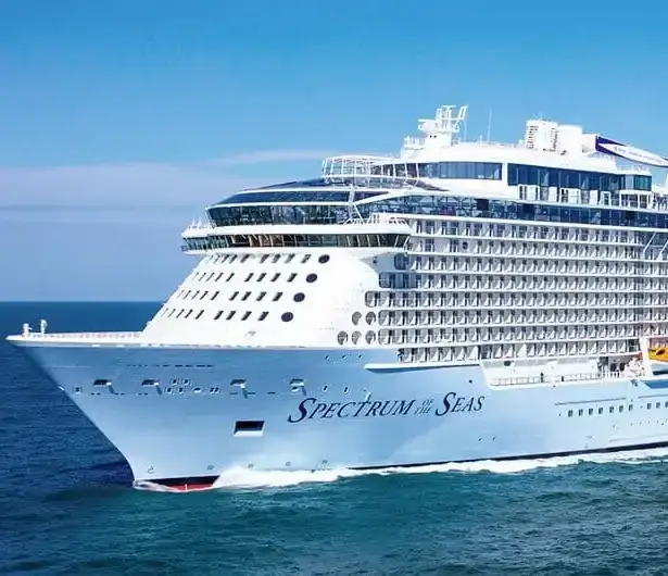 WhatsApp Image 2025-02-27 at 11.15.30 AM.webp